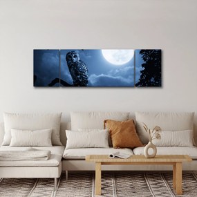 Obraz - Nocna Sowa (170x50 cm)