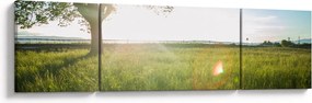 Obraz letniej łąki (170x50 cm)