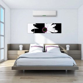 Obraz czarno - białego kwiatu (170x50 cm)