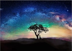 Obraz na szkle - Odpoczynek pod gwiazdami (70x50 cm)