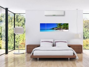 Obraz plaży na wyspie Praslin (170x50 cm)