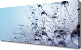 Obraz canvas na ścianę Puszysta Kula Mniszka