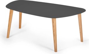 Stolik kawowy w stylu skandynawskim Endocarp Large