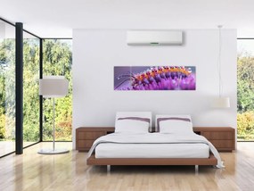 Obraz - Caterpillar (170x50 cm)