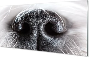 Szkło Ozdobne do Kuchni Zbliżenie na Psi Nos