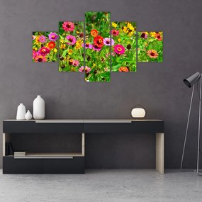 Obraz kwiatów polnych (125x70 cm)