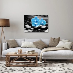 Obraz na szkle - Niebieska Orchidea (70x50 cm)