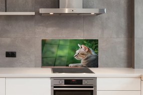 Panel Szklany Hipnotyzujące Spojrzenie Pupila