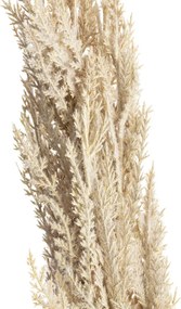 Gałązka Trawy Pampasowej 90cm cream