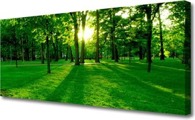 Obraz na płótnie Spokojna Aleja w Parku