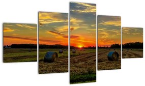 Obraz - Wiejskie bale (125x70 cm)
