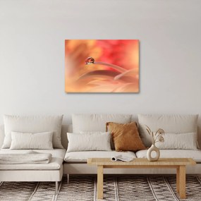 Obraz kwiecistej kropli rosy (70x50 cm)