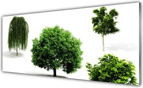 Szkło do Kuchni na Ścianę Majestatyczne Korony Drzew