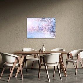 Obraz na szkle - Mroźna zima (70x50 cm)