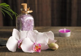 Fototapeta - Orchidee i spa (196x136 cm)