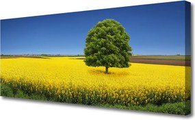 Zdjęcie na płótnie Samotne Drzewo w Polu