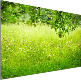 Panel dekor szkło Zielona łąka