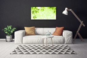 Obraz Canvas Liście Natura Roślina