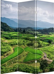 Parawan - Pole ryżowe (126x170 cm)