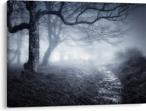 Obraz- Droga we mgle (70x50 cm)