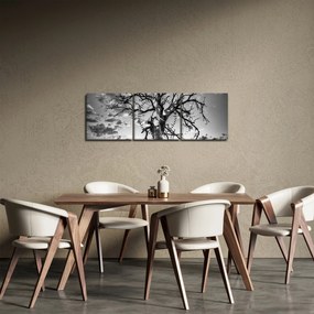Obraz - Czarno - białe drzewo (z zegarem) (90x30 cm)