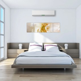 Obraz - Kwiat (170x50 cm)