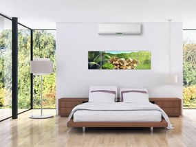 Obraz jeziora w dżungli Seszeli (170x50 cm)