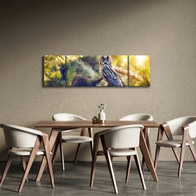 Obraz sowy na drzewie (170x50 cm)