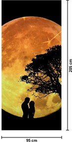 Fototapeta na drzwi - Cienie w świetle księżyca (95x205cm)