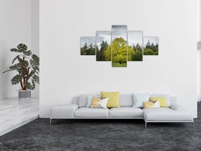 Obraz zielonego drzewa na środku pola (125x70 cm)