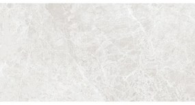 Mexen Lizard Silver próbka gresu szkliwionego rekt. G1, płytka podłogowo-ścienna, połysk - TL109-03-S