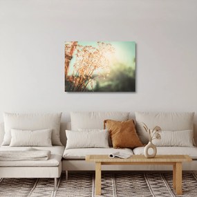 Obraz na szkle - Rośliny po deszczu (70x50 cm)