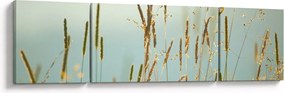 Obraz - Łąkowa chwila (170x50 cm)