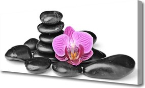 Obraz na płótnie Układ Kamieni z Akcentem Kwiatowym