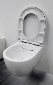 Kompletny zestaw WC 1: Miska WC NT2038