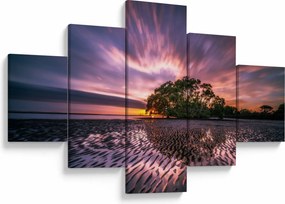 Obraz drzewa na plaży (125x70 cm)