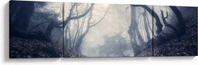 Obraz- Las we mgle (170x50 cm)