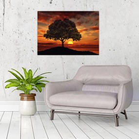 Obraz na szkle drzewa o zachodzie słońca (70x50 cm)