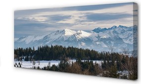 Zdjęcie na płótnie Góry Zimą w Śniegu