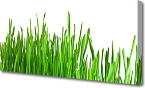 Fotoobraz na płótnie Szum Traw na Wietrze