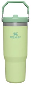 Zielony termos 890 ml – Stanley