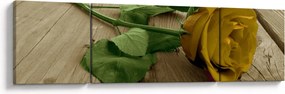 Obraz - Żółte róże w stylu vintage (170x50 cm)
