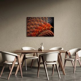 Obraz - Abstrakcyjna imitacja piór (70x50 cm)