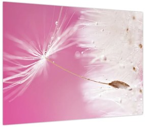 Obraz - Makro kwiat (70x50 cm)