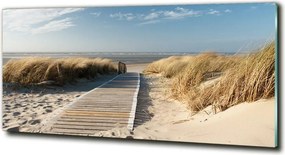 Foto obraz szklany Ścieżka na plaży