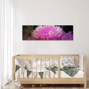 Obraz kwiatu w różowym dymie (170x50 cm)