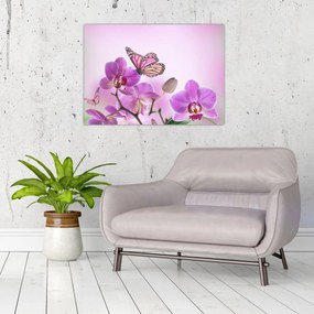 Obraz na szkle - Motyl na kwiatach orchidei, liliowy (70x50 cm)