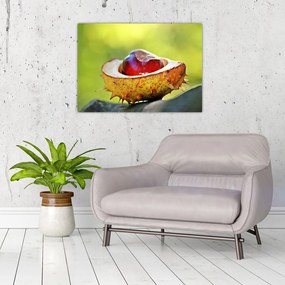 Obraz na szkle - kasztanowce (70x50 cm)