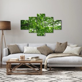 Obraz - Widok do korony drzewa (125x70 cm)