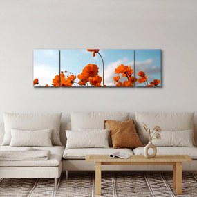 Obraz - Łąkowe kwiaty (170x50 cm)